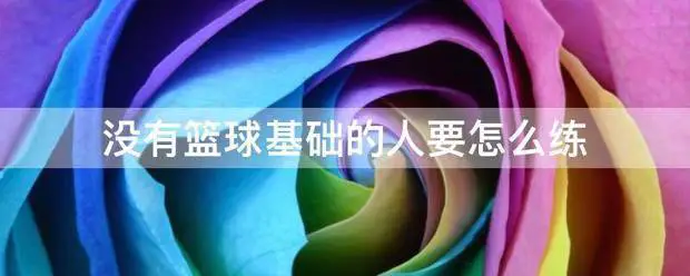 篮球训练花多少钱合适_0